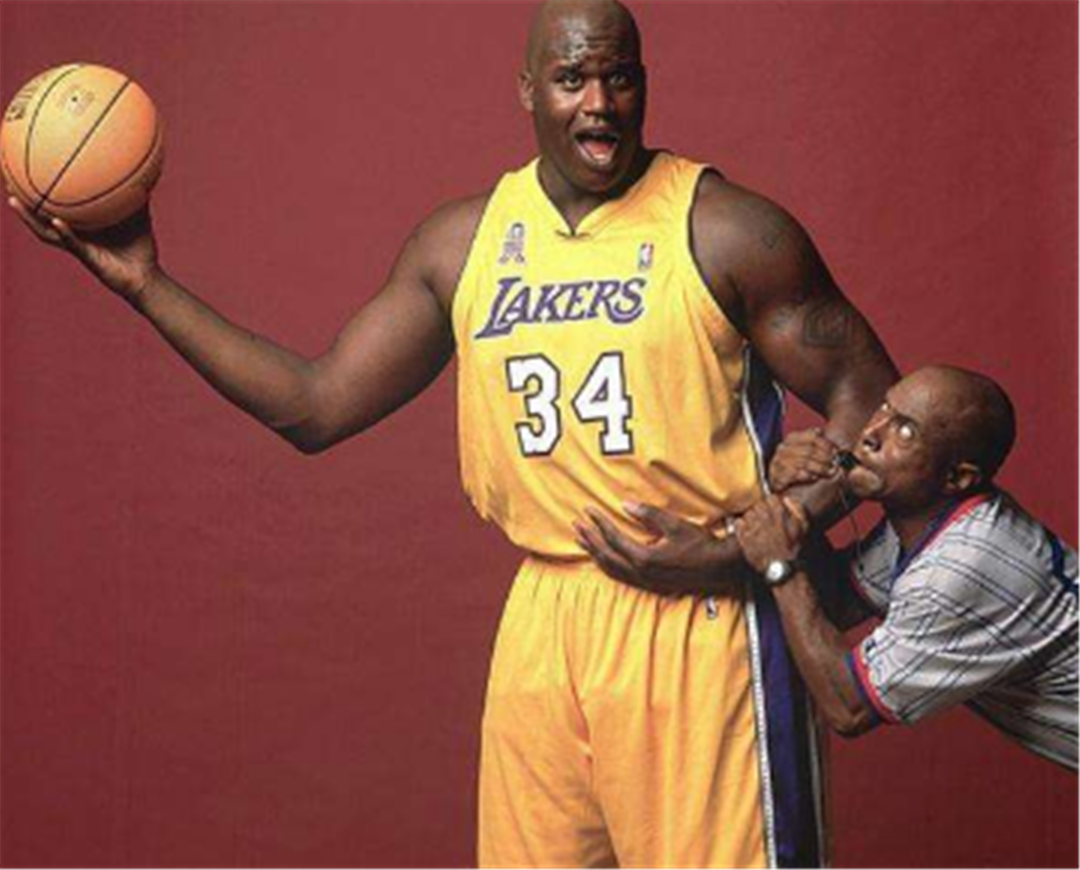 班底的签约 班底的签约